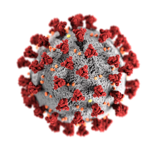 coronavirus graphic